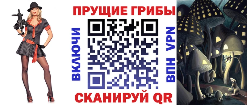 hydra как войти Берёзовка Галлюциногенные грибы Psilocybe сколько стоит