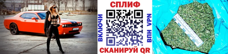 дарнет шоп  Берёзовка  Конопля VHQ 